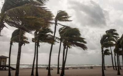 Hurricane Insurance Claims for Condominium Associations